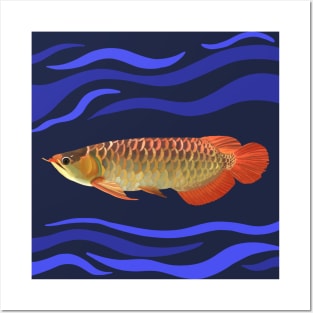 Arowana Fish Posters and Art